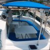 Athena 38