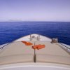 ferretti custom line 26
